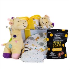 Bundle of Joy Baby Gift